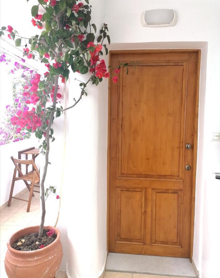Naxos City Casa Athena Naxos 아파트 외부 사진